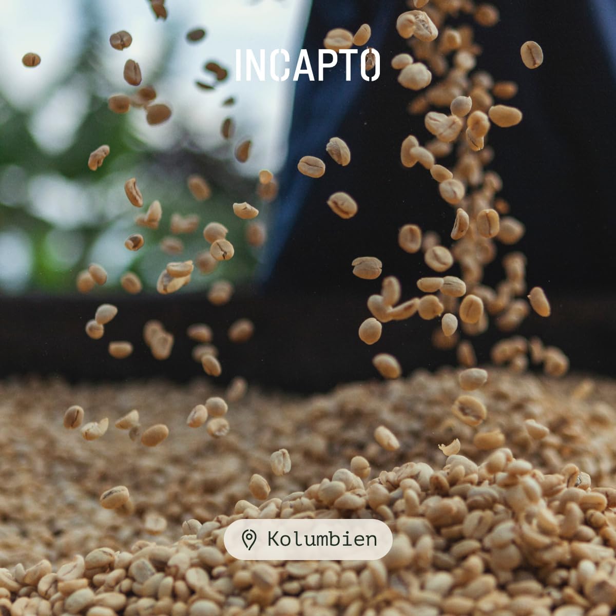 Incapto Specialty Coffee Beans (1kg): Single-Origin Colombia: Espresso 100% Arabica
