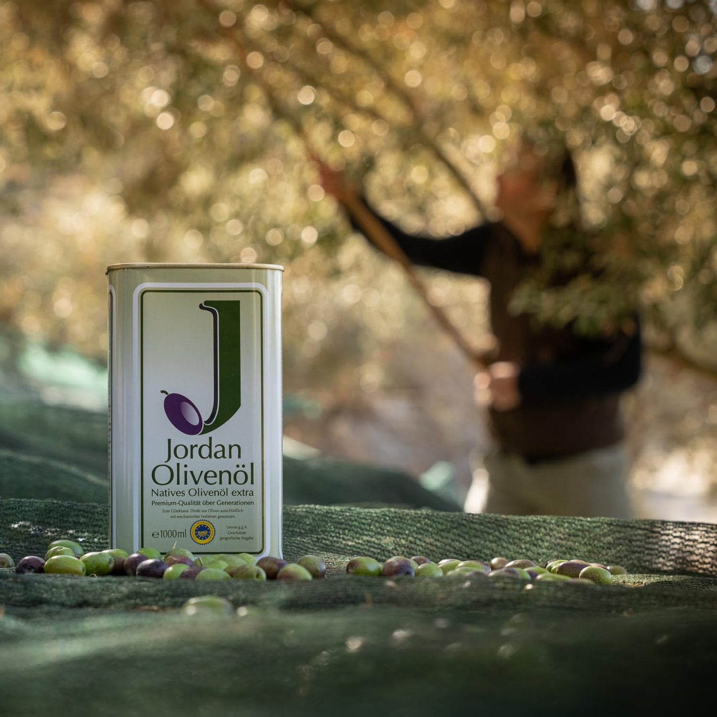 Jordan Extra Virgin Olive Oil (2x 1 liter canisters) from the Greek island of Lesbos