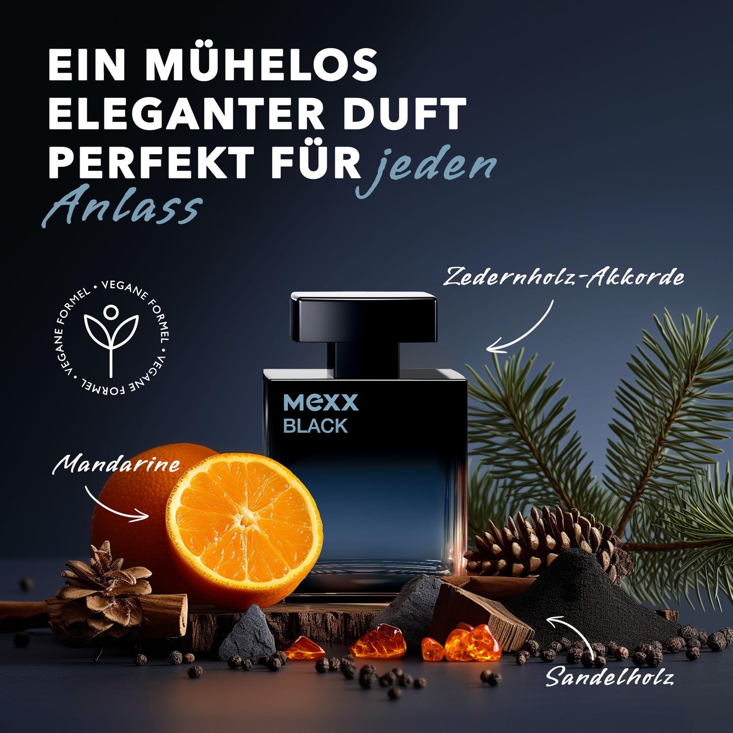 MEXX BLACK Man Eau de Parfume (50ml) with aquatic-woody notes