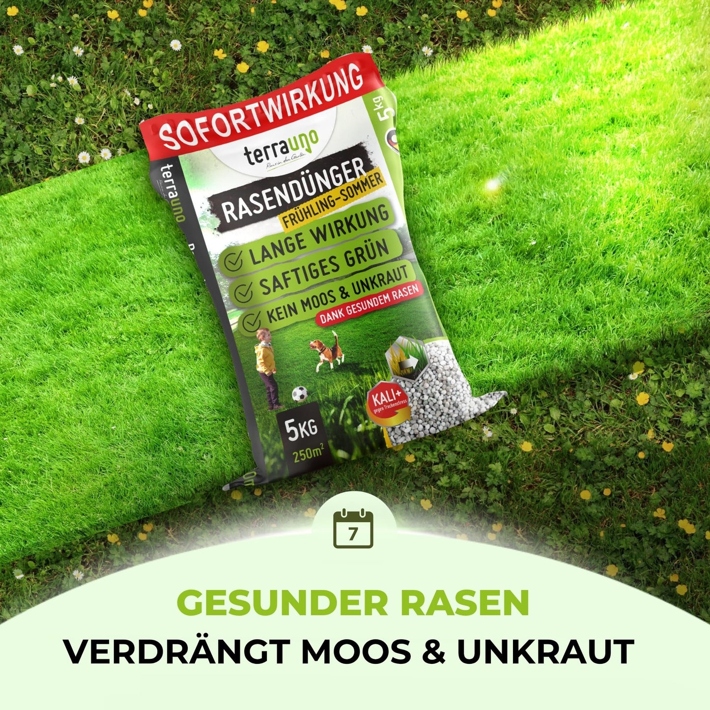 TerraUno lawn fertilizer for spring/summer: immediate effect - 20kg for 1000m²