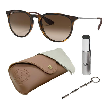 Ray Ban 'RB4171' Erika Panto-Classic Sunglasses Set for Women including Case